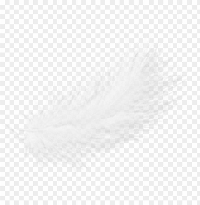 feather png,feather,feather transparent background,feather file 

png,feather clipart,feather png images,feather png clipart