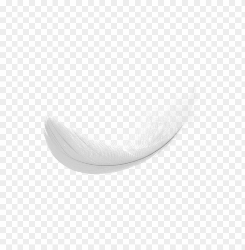 feather png,feather,feather transparent background,feather file 

png,feather clipart,feather png images,feather png clipart