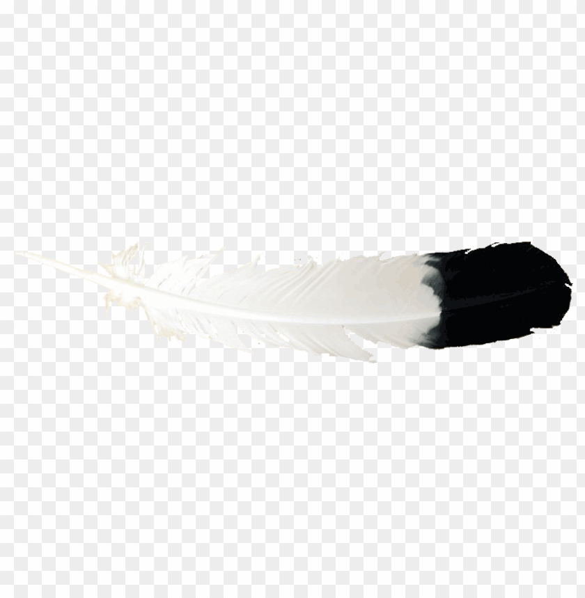 feather png,feather,feather transparent background,feather file 

png,feather clipart,feather png images,feather png clipart