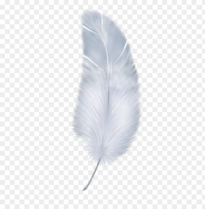 feather png,feather,feather transparent background,feather file 

png,feather clipart,feather png images,feather png clipart