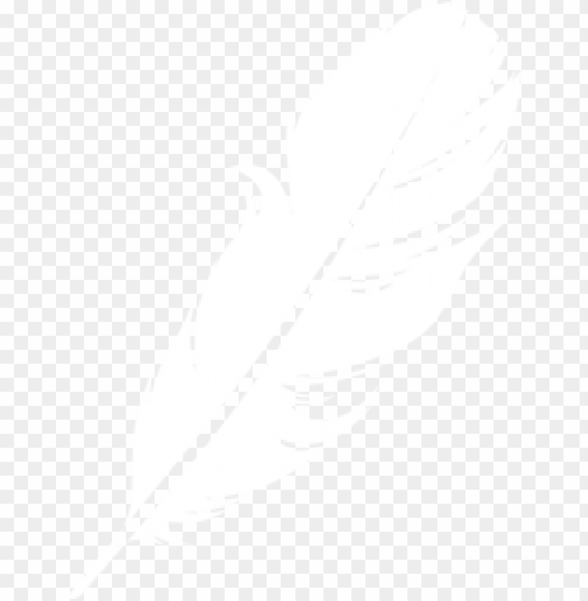 feather png,feather,feather transparent background,feather file 

png,feather clipart,feather png images,feather png clipart