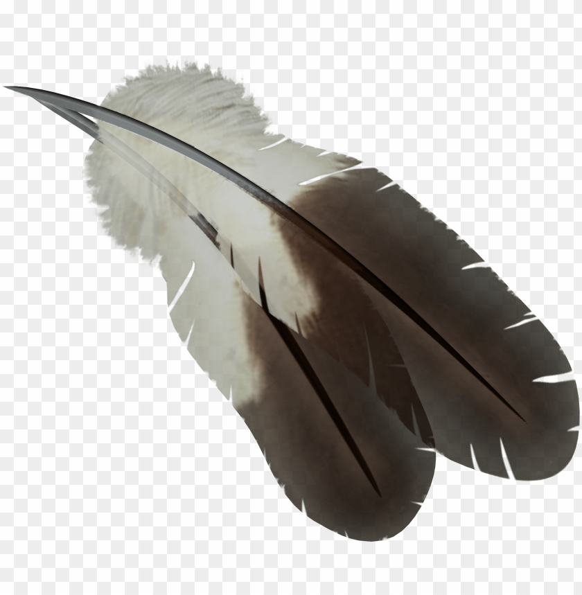 Detailed feather with brown and white patterns on a transparent background PNG