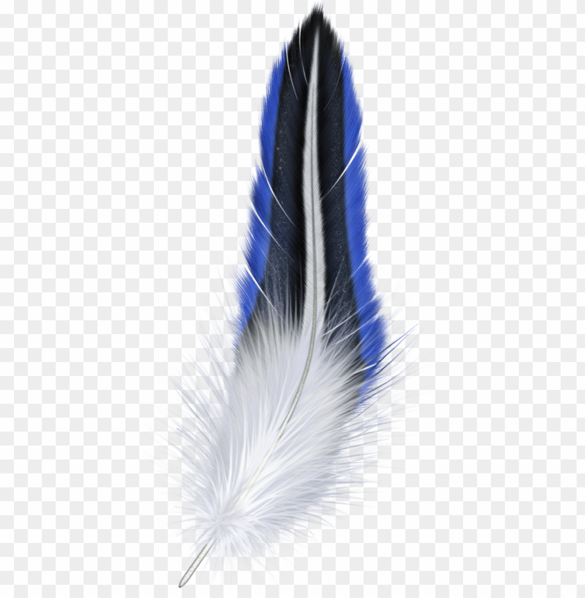 A beautiful blue and white feather with a sleek, elegant desi PNG