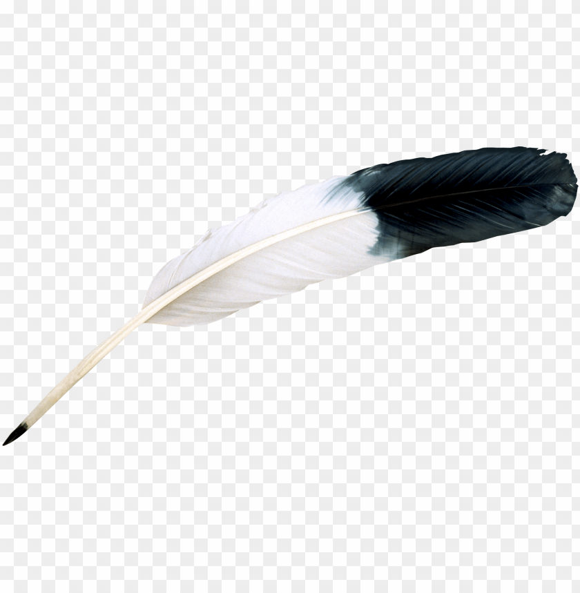 A black and white quill feather on a transparent background PNG