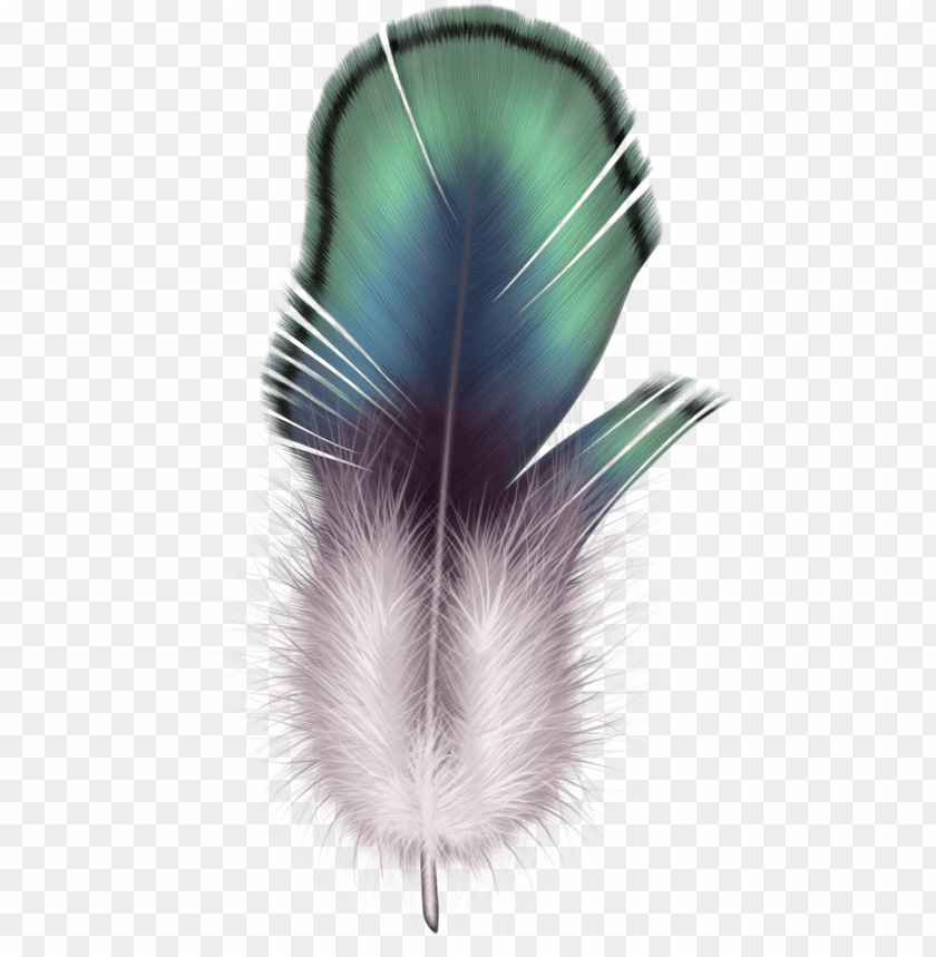 Colorful feather with green, blue, and purple accents on a transparent background PNG