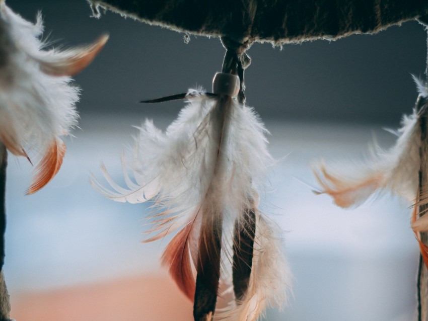 feathers, pendant, decoration, macro