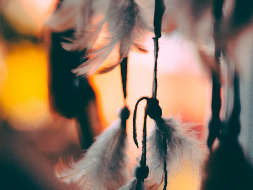 Feathers Suspension Macro Blur Background