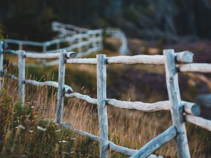 fence, fencing, wooden, meadow, pasture