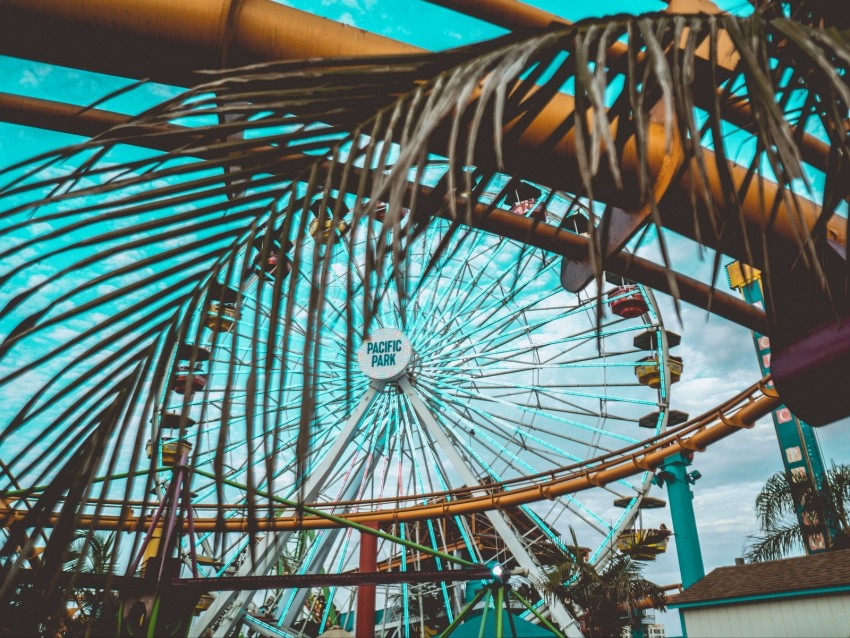 ferris wheel, attraction, palm tree, leaves