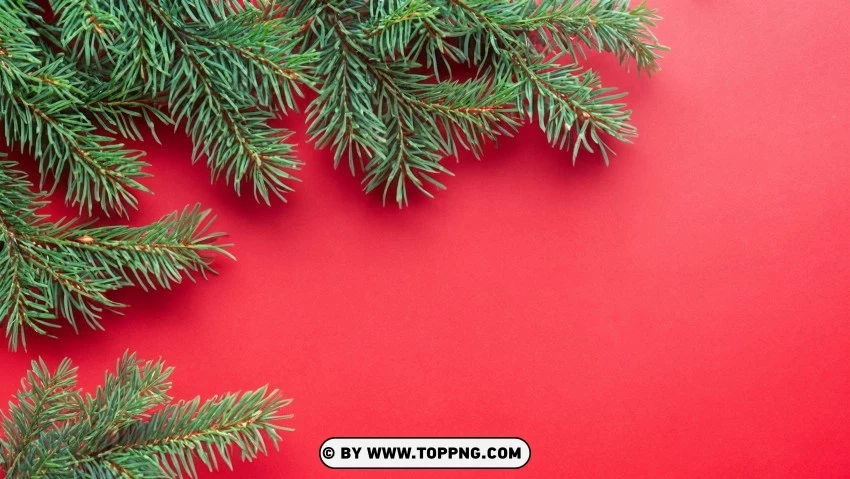 Festive Christmas Wallpaper Red Green Pine Branches PNG Transparent Background