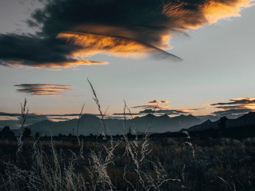 field, clouds, grass, sunset, twilight