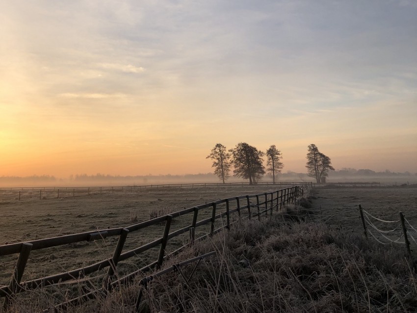 Field Fog Sunrise Horizon Grass Fence Trees Dawn Background