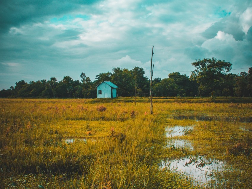 field, house, lake, twilight, grass, clouds