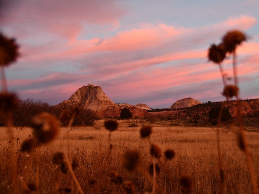 Field Mountains Landscape Vegetation Background