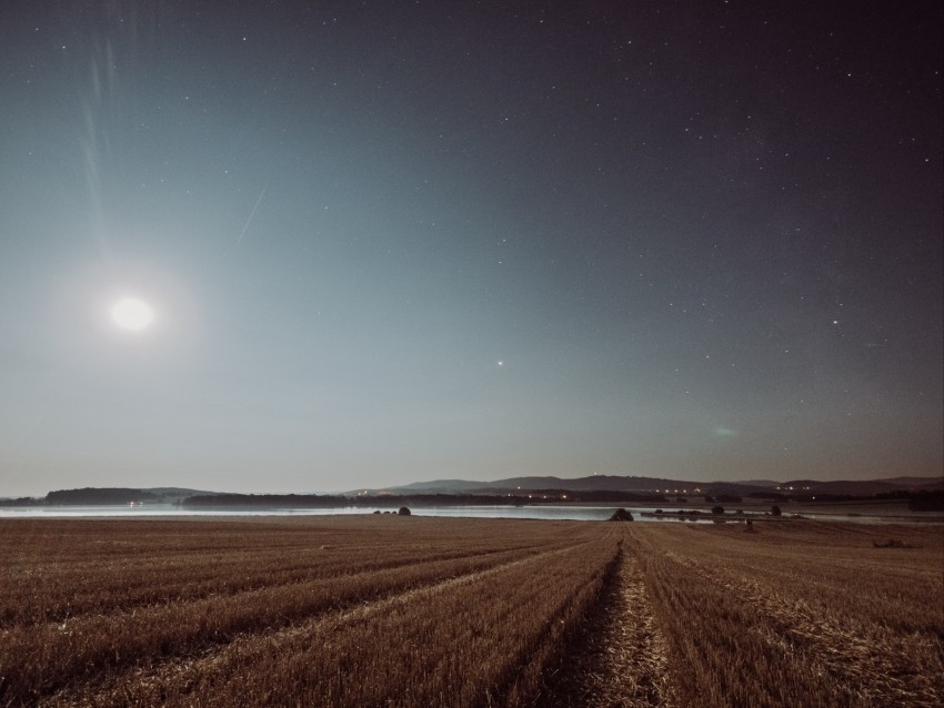 field, starry sky, grass, stars, night, horizon