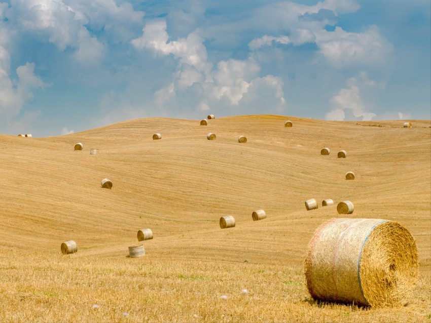 field, straw, bales, hills, landscape