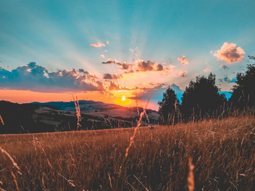 field, sunset, grass, sky, clouds