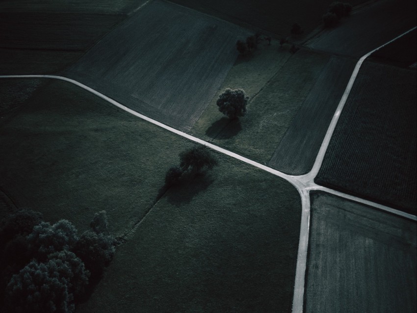 field, trees, grass, aerial view, dark