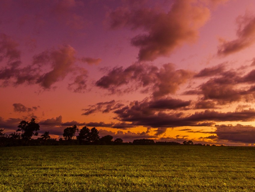 field, twilight, landscape, trees, sky, clouds