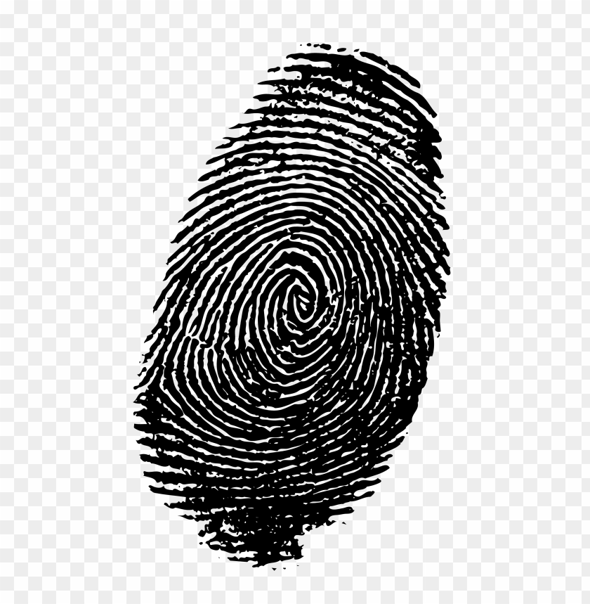 fingerprint png, fingerprint,png