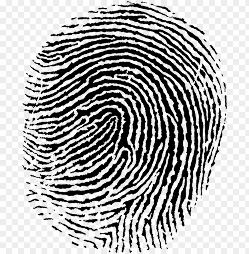 fingerprint png, fingerprint,png