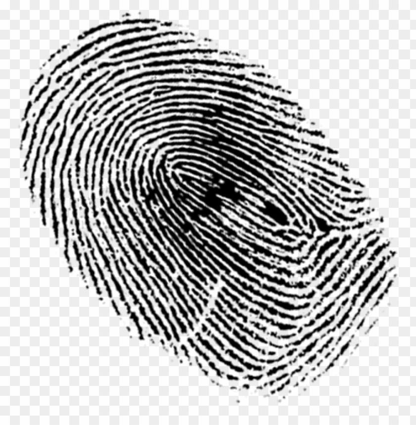 fingerprint png, fingerprint,png