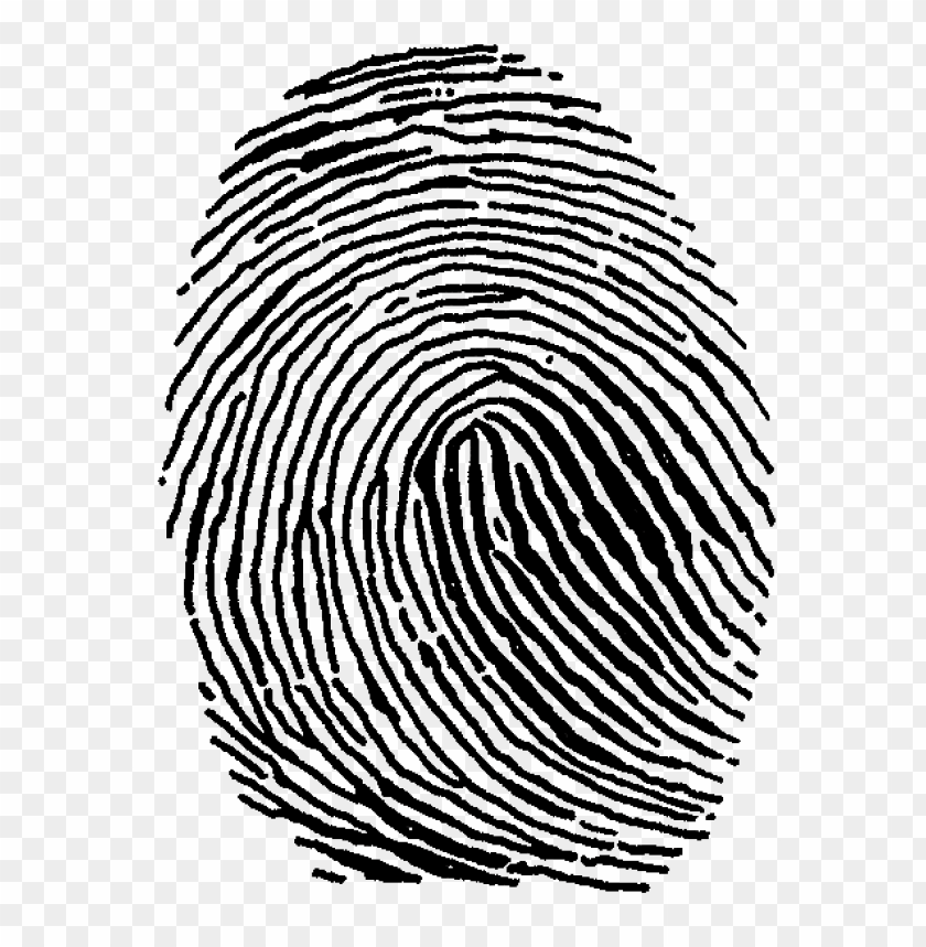 fingerprint png, png,fingerprint