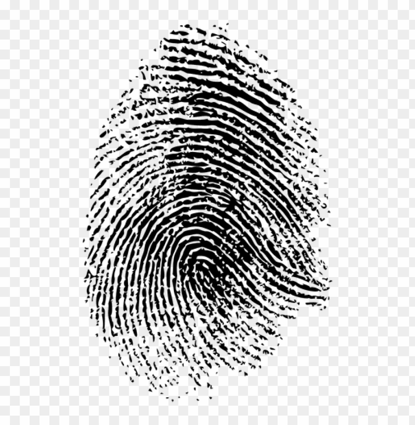 fingerprint png, fingerprint,png