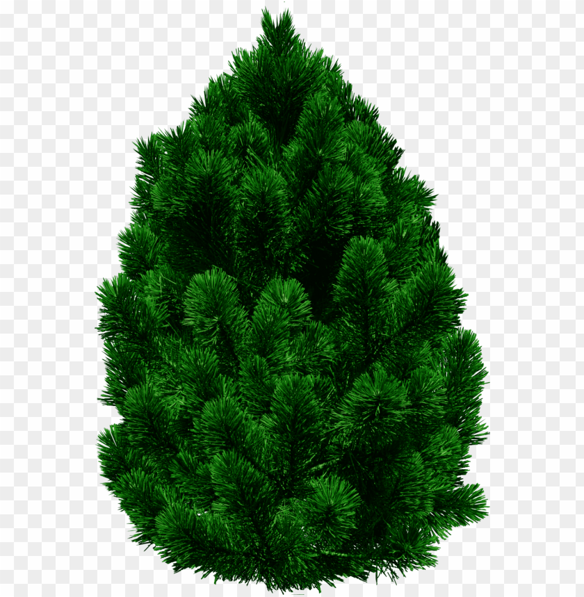 
fir
, 
tree
, 
christmas tree
, 
coniferous trees
