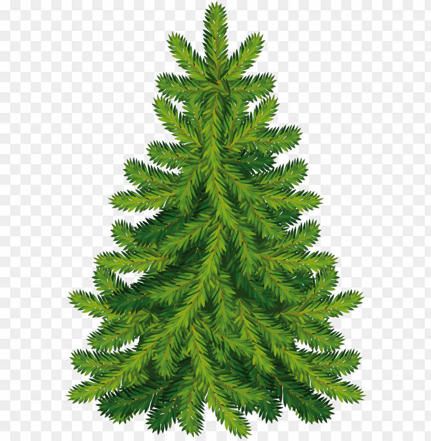 
fir
, 
tree
, 
christmas tree
, 
coniferous trees
