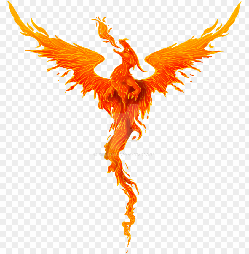 fire dragon png, dragon,firedragon,fire,png