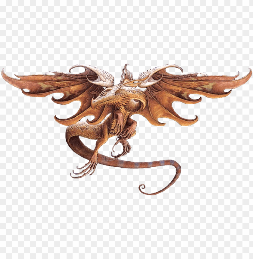 fire dragon png, dragon,firedragon,fire,png