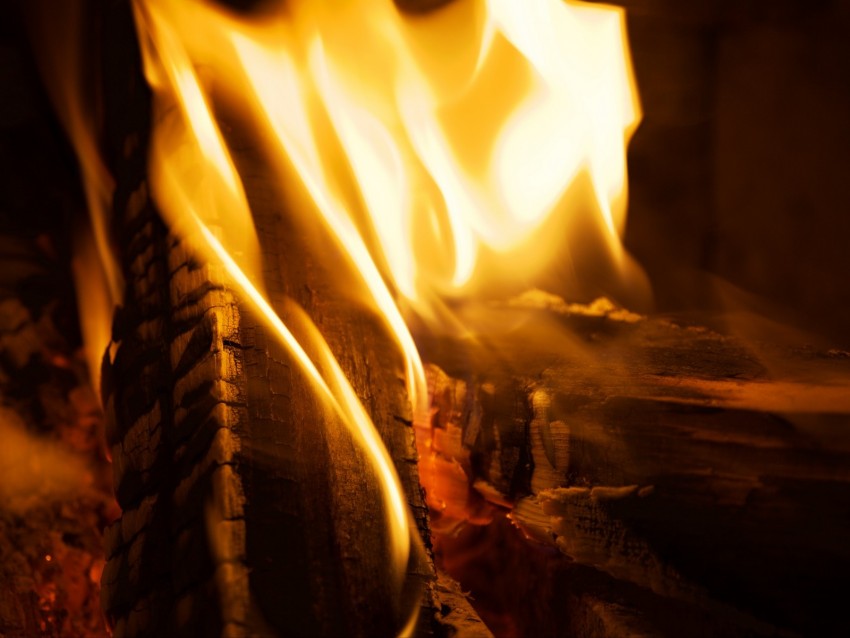 fire, firewood, burn, flame, closeup