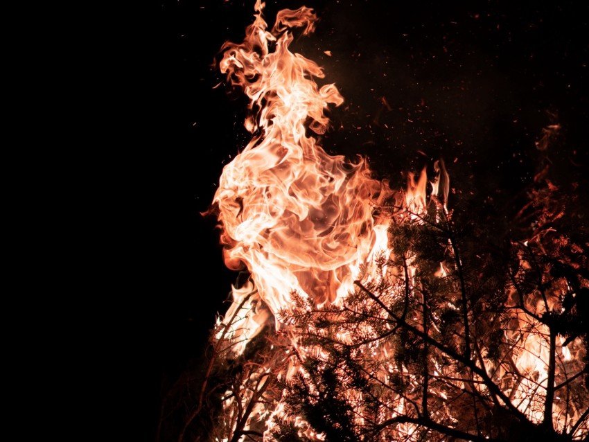 fire, flame, branches, bonfire