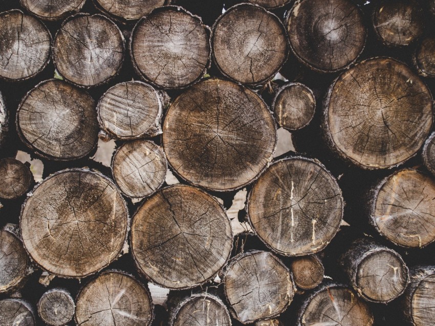 Firewood Wood Wooden Background