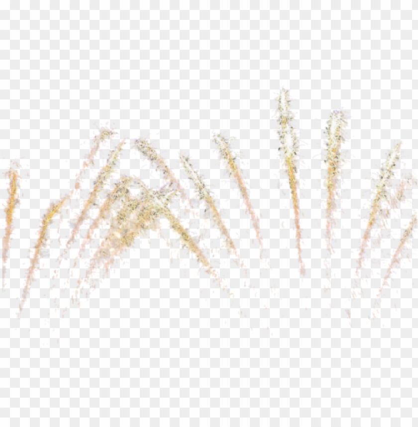 celebration, abstract, firework, shiny, night, light, celebrate