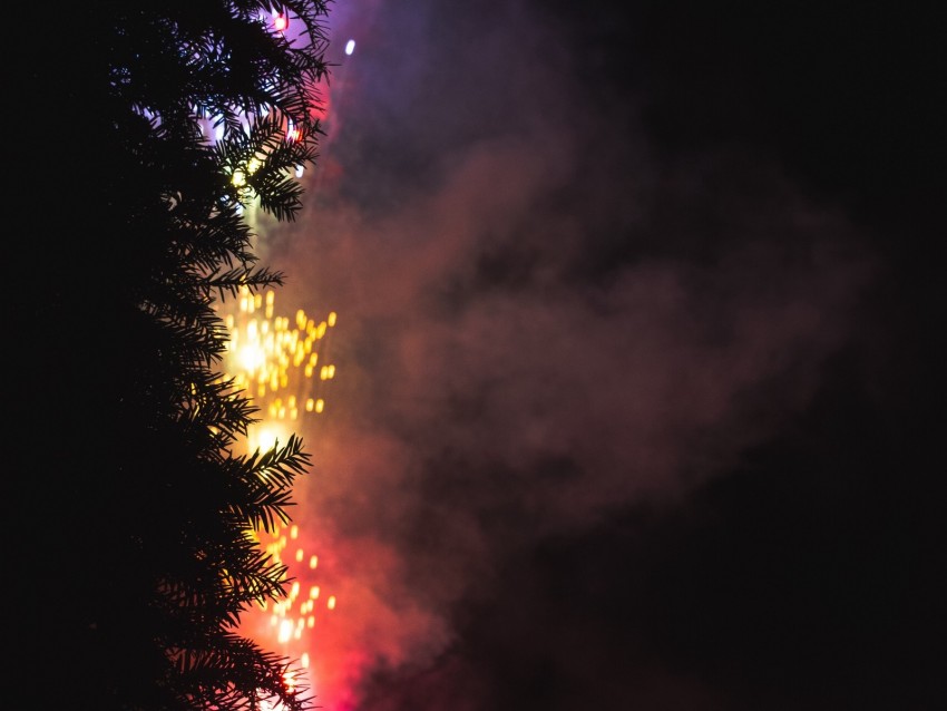 Fireworks Salute Tree Dark Night Background