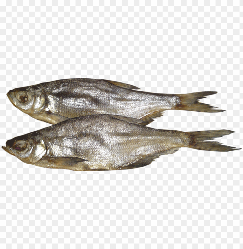 Two silver fish on a transparent background, displaying fresh seafood PNG