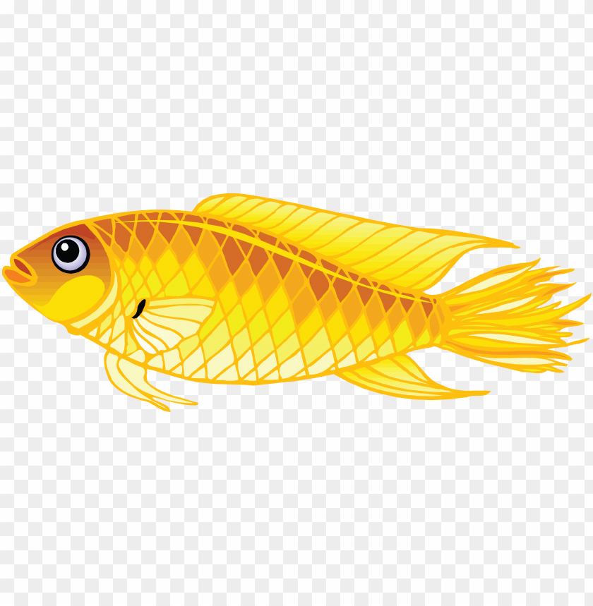 fish png,fish,fish transparent background,fish file png,fish clipart,fish png images,fish png clipart