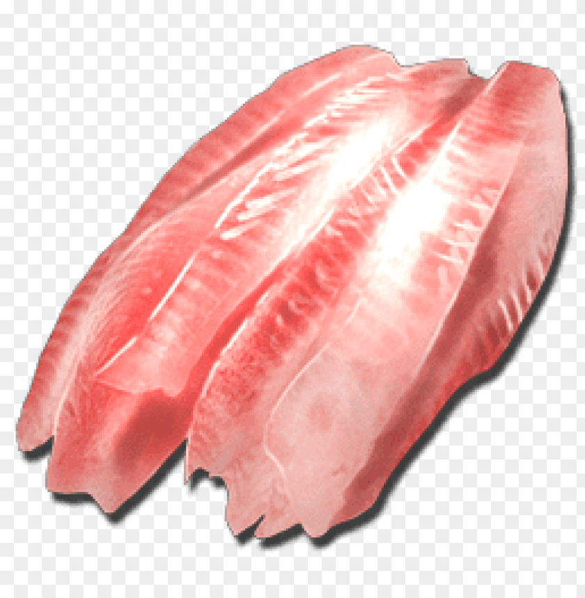 fish meat png, fish,png,fishme