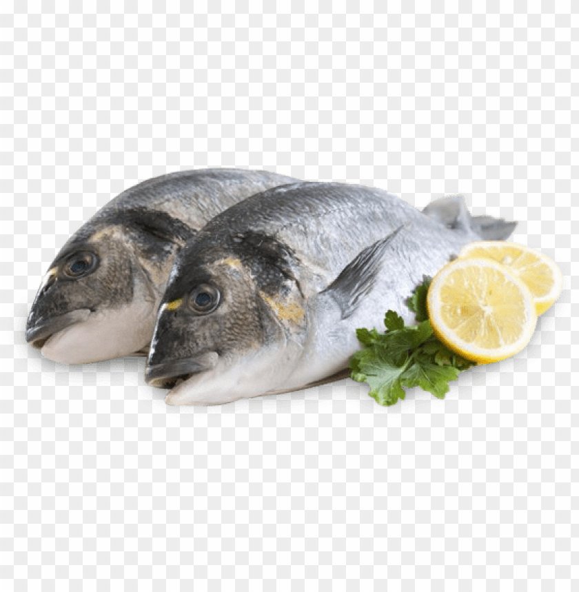 fish meat png, fish,png,fishme