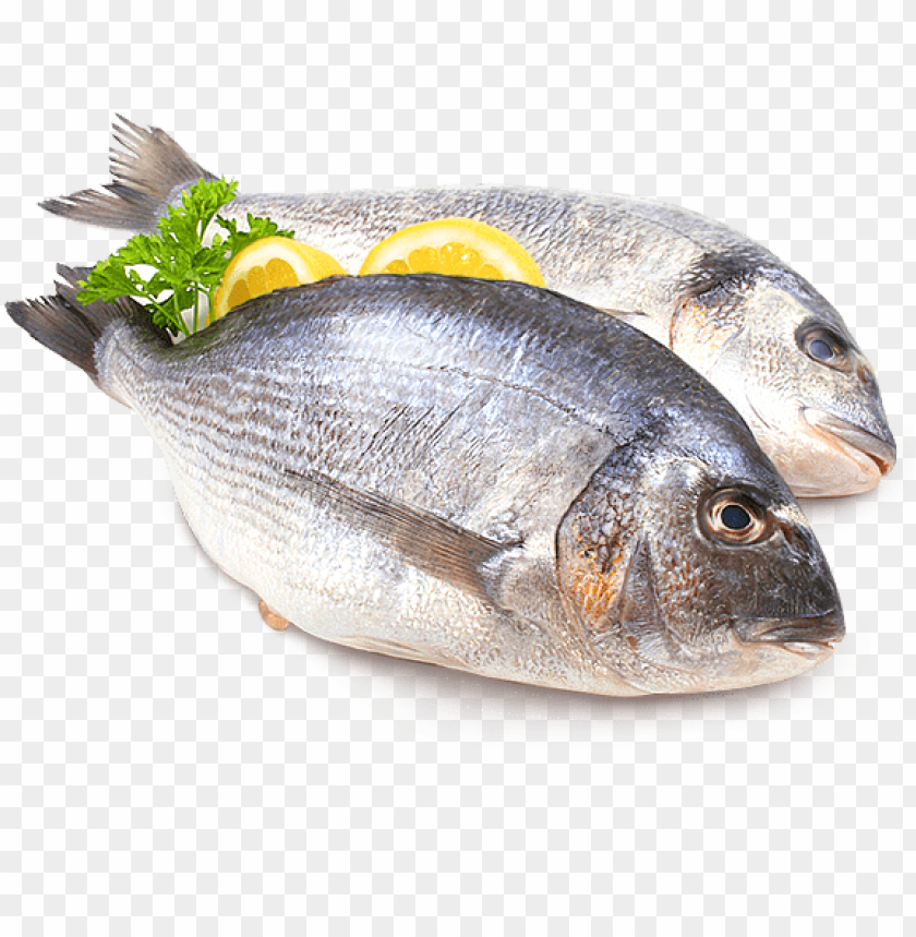 fish meat png, fish,png,fishme