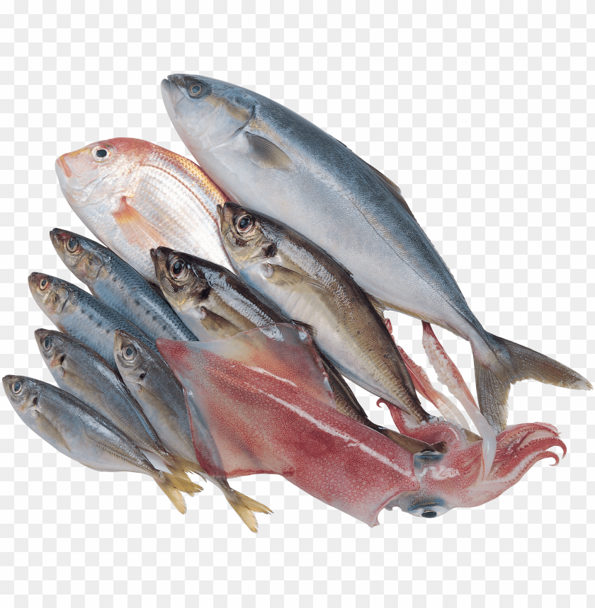 fish meat png, png,fish,fishme