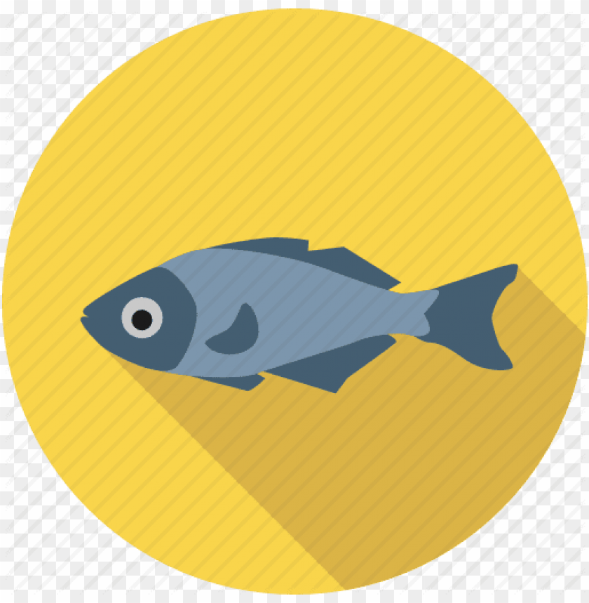 fish meat png, png,fish,fishme