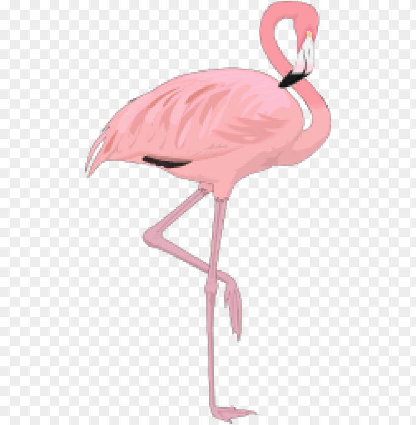 Pink flamingo standing on one leg with a curved neck PNG