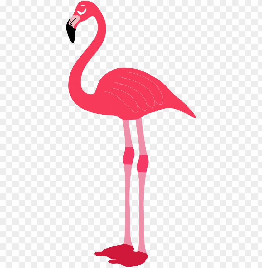 Pink flamingo standing gracefully with long legs and elegant neck PNG