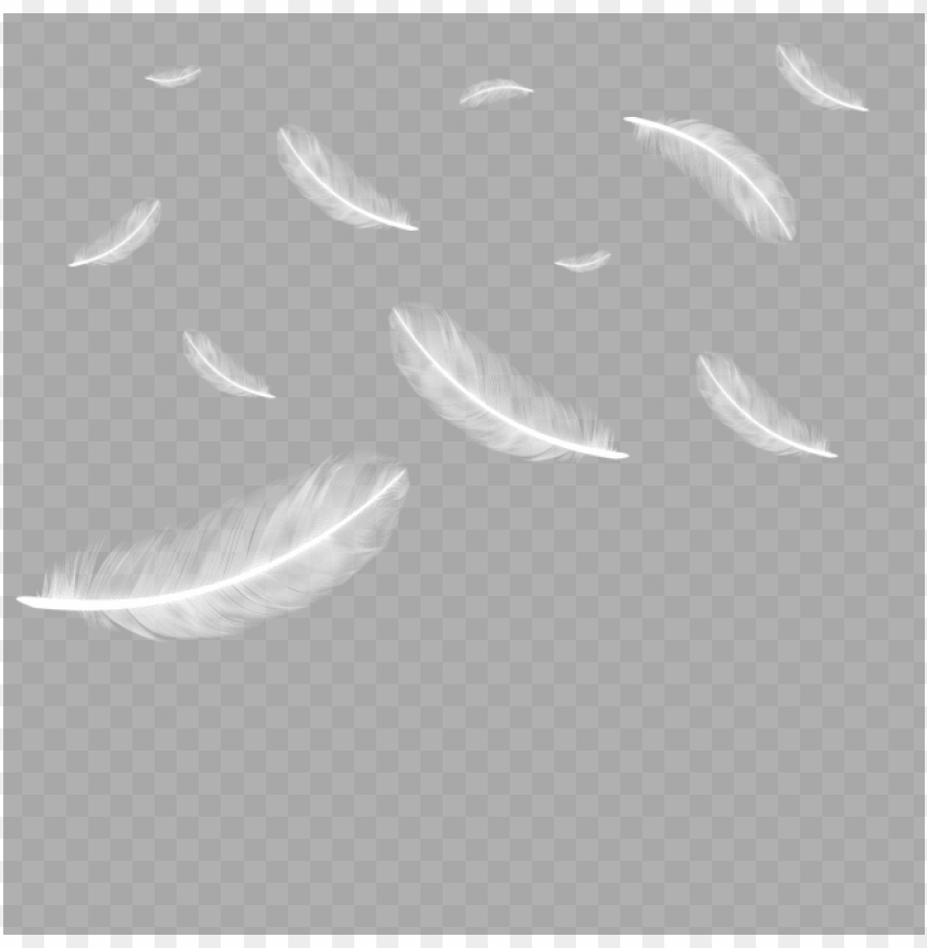 float, feathers, feather, arrow, autumn, bird feather, bird