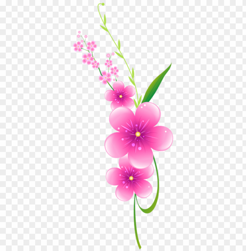 floral pink decoration png