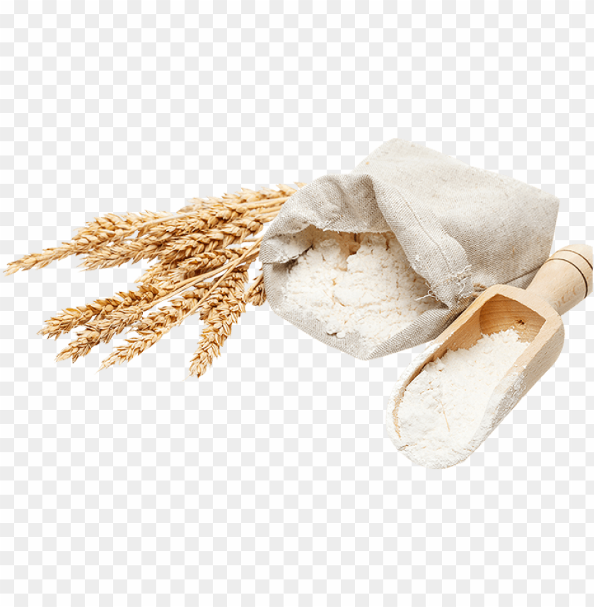 wheat, flour, grains, baking, natural ingredients, sack of flour, scooping flour