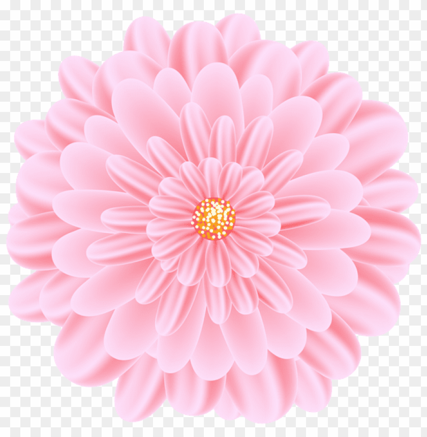 pink flower, daisy, floral design, blooming petals, decorative flower, nature symbol, vibrant blossom